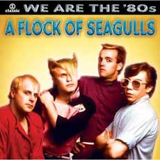 A Flock of Seagulls Band