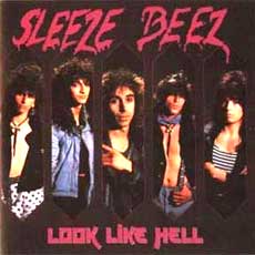 Sleeze Beez Hair Metal Band
