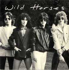 Wild Horses Hair Metal Band
