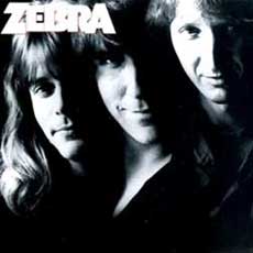 Zebra Hair Metal Band
