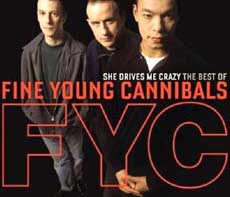 Fine Young Cannibals Band