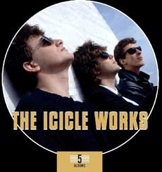 The Icicle Works Band