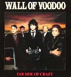 Wall of Voodoo Band